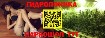стаф Нальчик