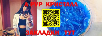 стаф Нальчик
